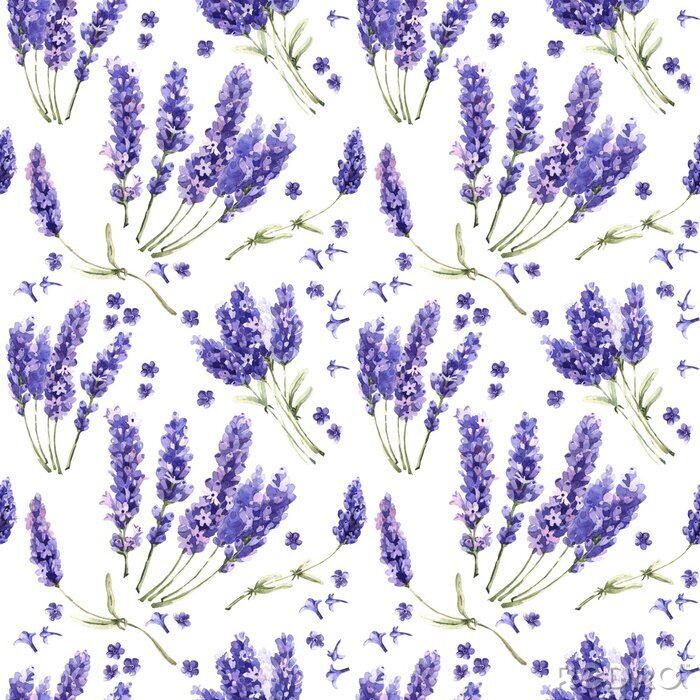 Poster Wildflower Lavendel Blumenmuster in einem Aquarell-Stil isoliert.