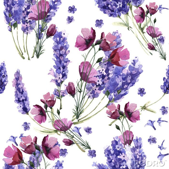 Poster Wildflower Lavendel Blumenmuster in einem Aquarell-Stil isoliert.