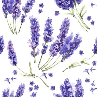 Tapete Wildflower Lavendel Blumenmuster in einem Aquarell-Stil isoliert.