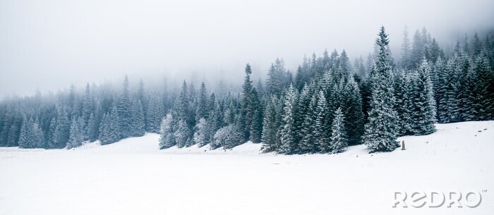 Poster Winterbäume im Nebel