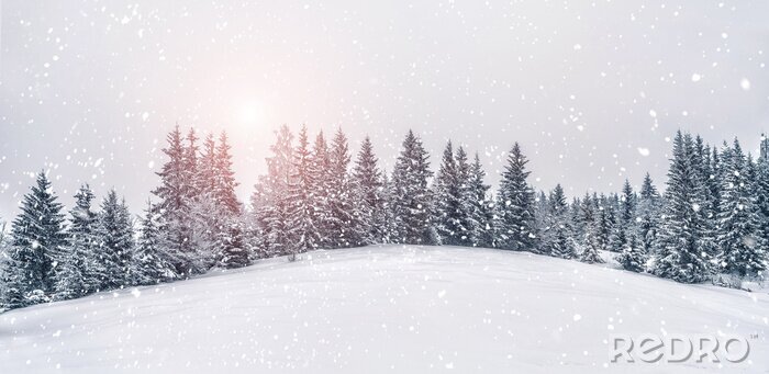 Poster Winterhügel mit Wald bedeckt