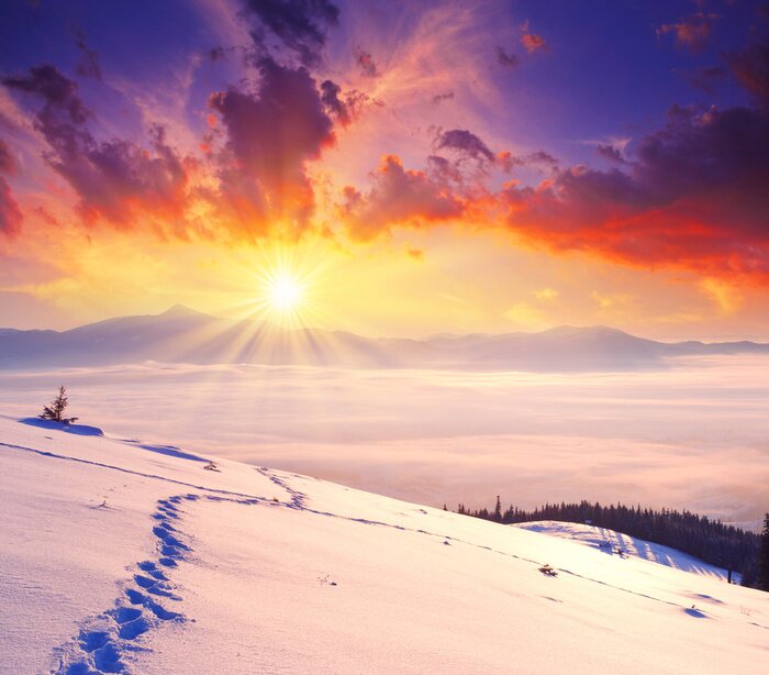 Poster Winterlandschaft am Nachmittag