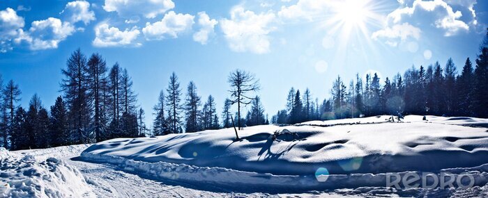 Poster Winterlandschaft der Lichtung