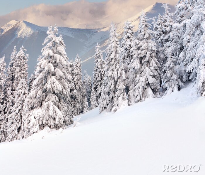Poster Winterliche Ansicht in den Bergen