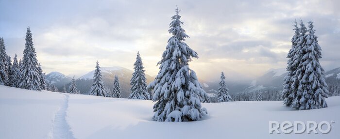 Poster Winterliche Berglandschaft mit Bäumen