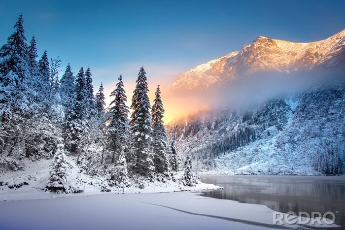 Poster Winterliche Berglandschaft mit See