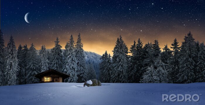 Poster Winterlicher Nachthimmel über dem Wald