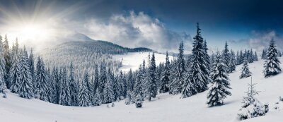 Poster Winterliches Bergpanorama