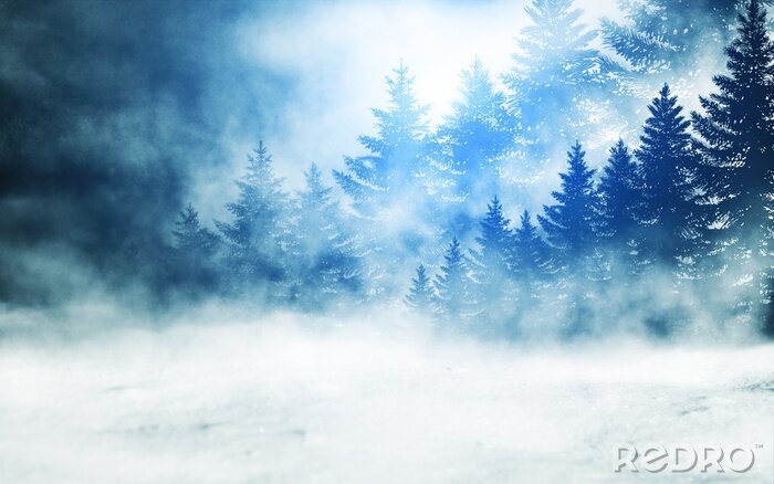 Poster Winternebel zwischen Nadelbäumen