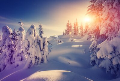 Poster Winterpanorama bei Sonnenaufgang