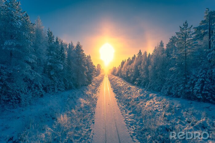 Poster Winterweg bei Sonnenaufgang