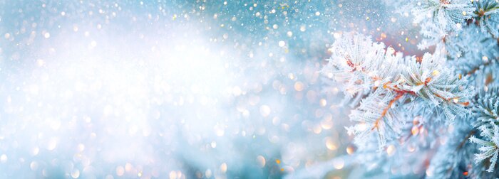 Poster Winterzweig mit Frost bedeckt