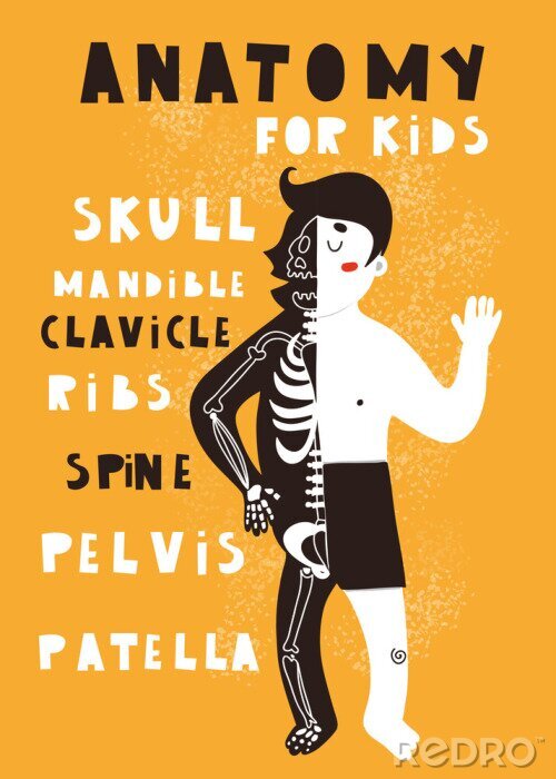 Poster Wissenschaft Anatomie für Kinder