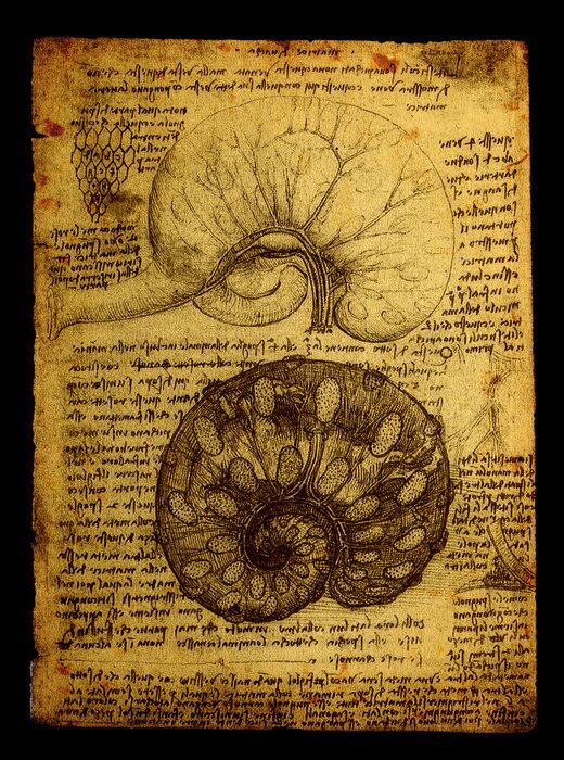 Poster Wissenschaft Organe auf Illustration