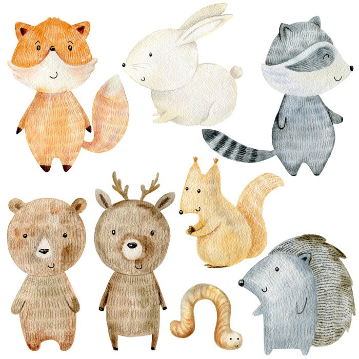 Poster Woodland Animals Set