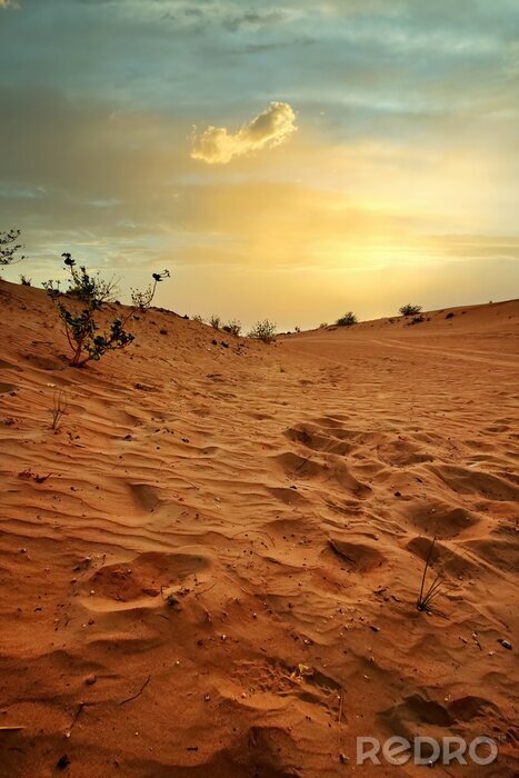 Poster Wüste bei Sonnenaufgang