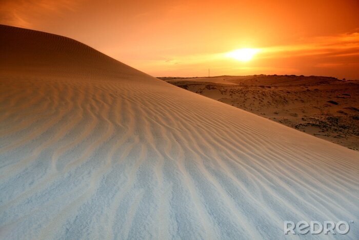 Poster Wüste bei Sonnenuntergang