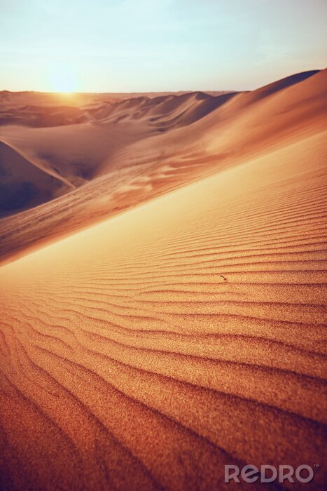 Poster Wüste im malerischen Sonnenschein