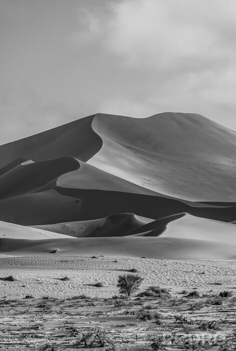 Poster Wüste im Schwarz-Weiß-Bild