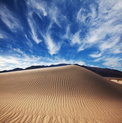 Poster Wüste in der Landschaft