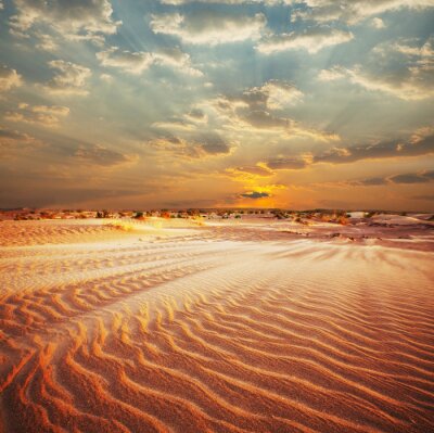 Poster Wüste in einer malerischen Landschaft