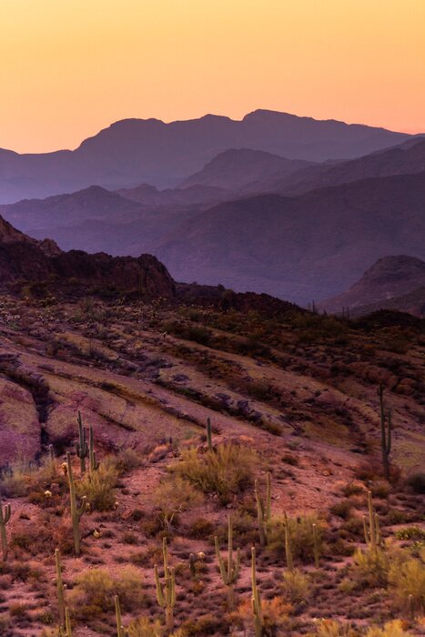 Poster Wüste in violettem Licht