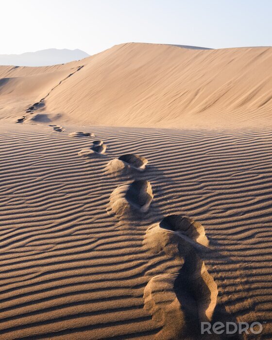Poster Wüste mit Fußabdrücken