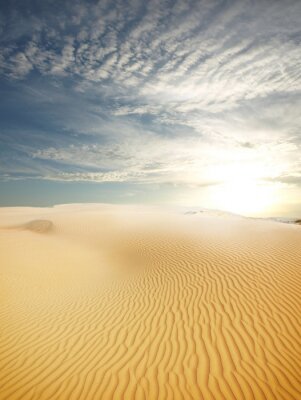 Poster Wüste mit hellem Sand