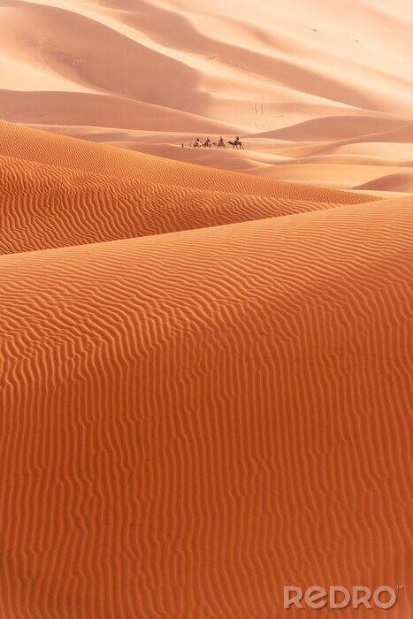Poster Wüste mit malerischen Hügeln