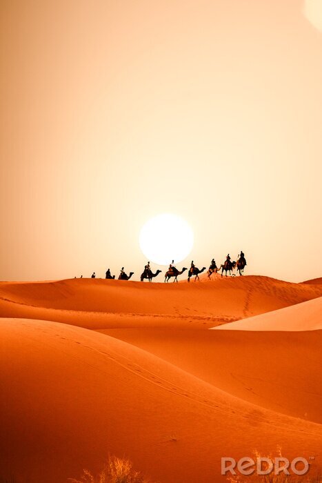 Poster Wüste Sahara mit Karawane