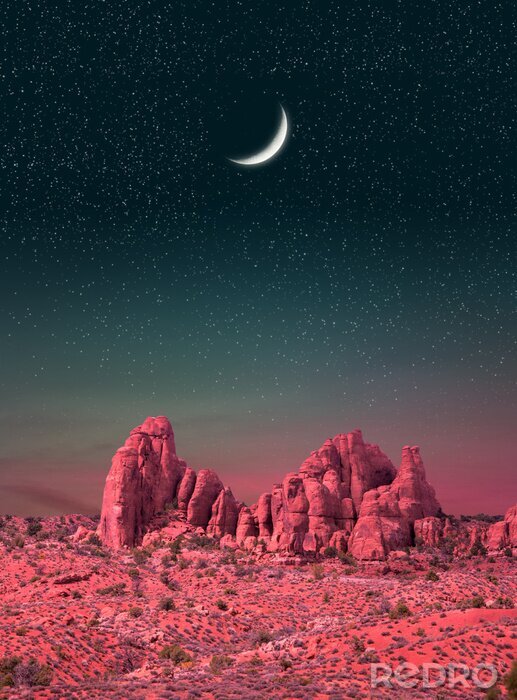 Poster Wüste unter einem Sternenhimmel