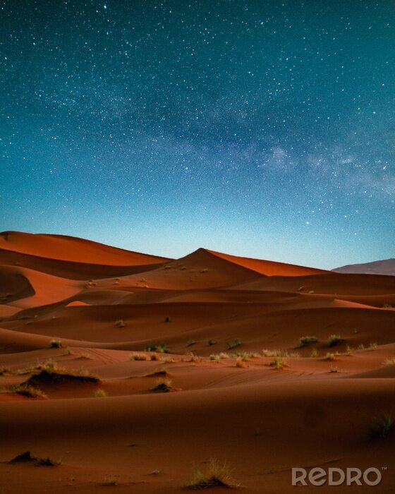 Poster Wüste unter einem Sternenhimmel