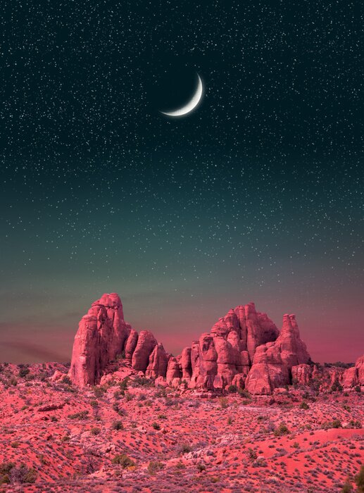 Poster Wüste unter einem Sternenhimmel