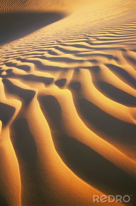 Poster Wüstenlandschaft Dünen