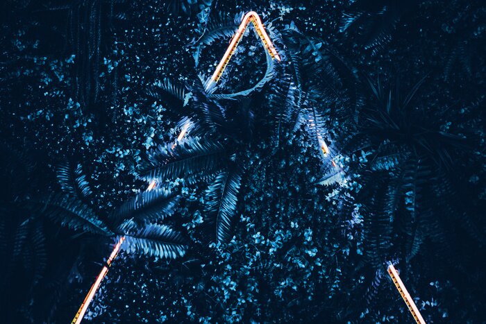 Poster XXL Dreieck und Blätter