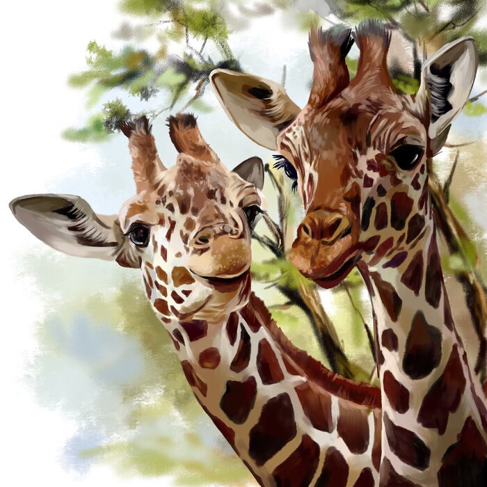 Poster Zarte Aquarell-Giraffen