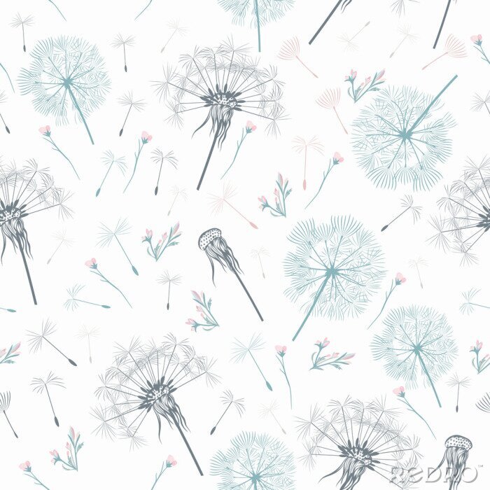 Poster Zarte graue Pusteblumen auf weißem Hintergrund