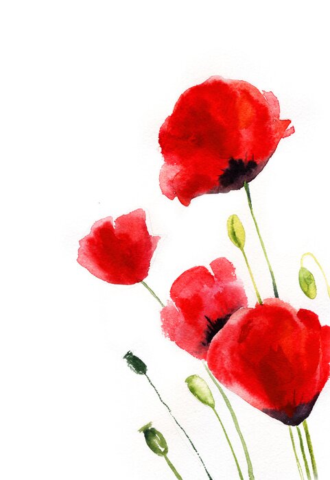 Poster Zarte Mohnblumen auf dünnen Stielen