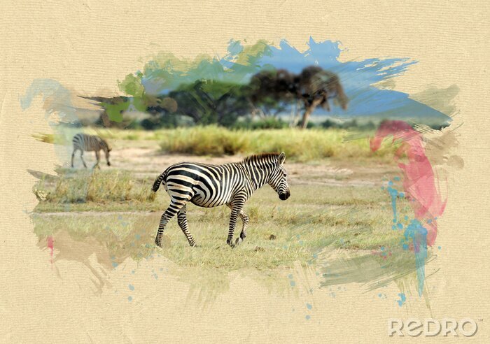 Poster Zebra mit Savanne im Hintergrund