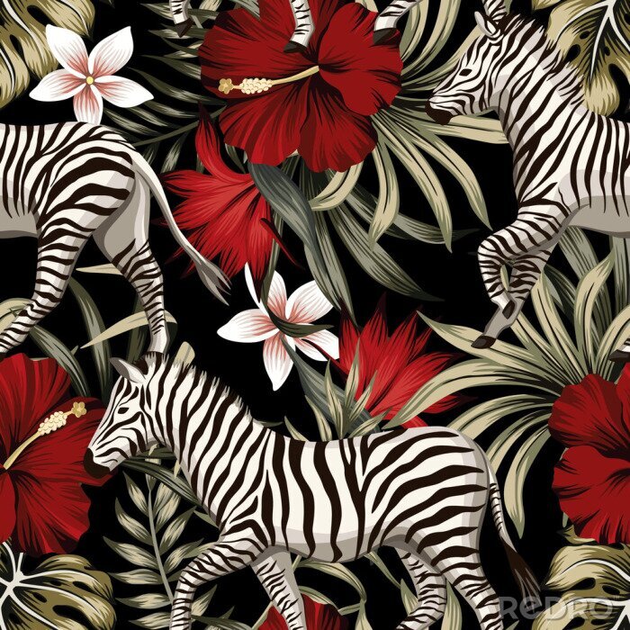 Poster Zebras und rote Hibiskusblüten