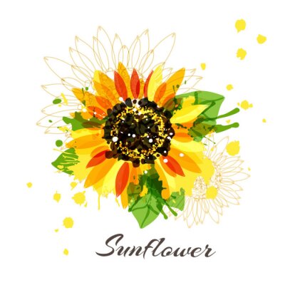 Poster Zeichnung Aquarell-Sonnenblumen und Line-Art