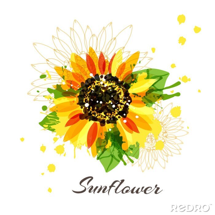 Poster Zeichnung Aquarell-Sonnenblumen und Line-Art