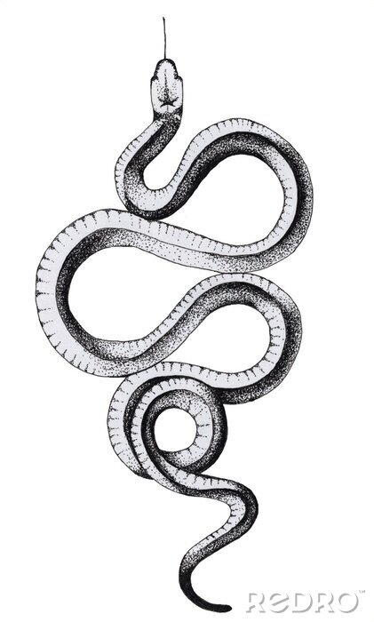 Poster Zeichnung einer Schlange mit herausragender Zunge
