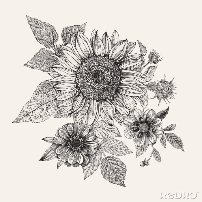Poster Zeichnung Sonnenblumen botanische Skizze