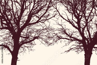 Poster Zwei kahle Bäume mit blattlosen Kronen