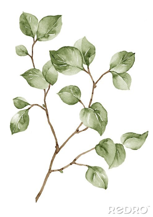 Poster Zweig mit grünen Blättern