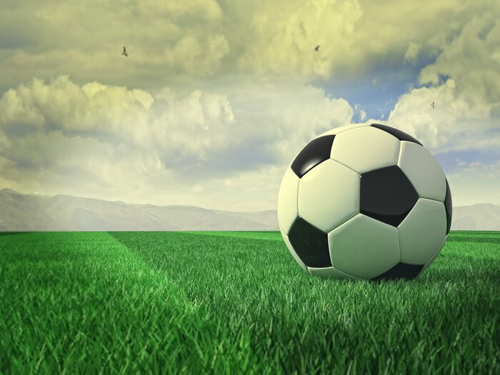 Sticker 3D Fußball im Gras liegend