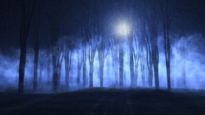 Sticker 3D nebliger gruseliger Wald