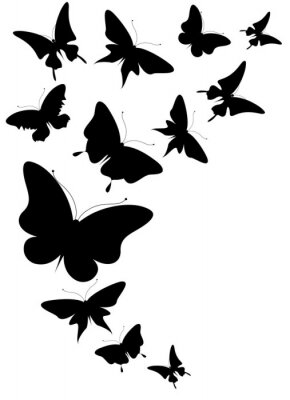 Sticker 3D-Schmetterlinge in Schwarz-Weiß