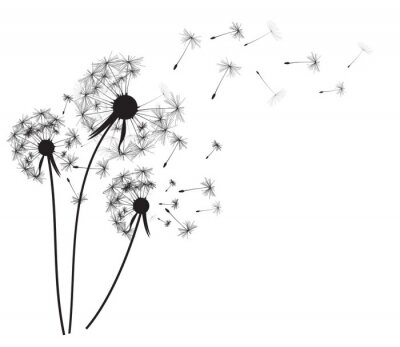 Sticker Abstract dandelion background  vector illustration
